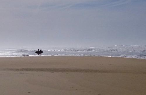 Aureilhan Other | Le Kraken