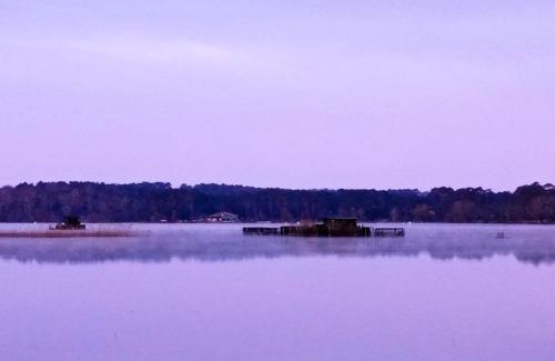 Aureilhan Other | Le Kraken