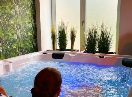 Les Champs-Geraux House | Le Manoir des Haies SPA