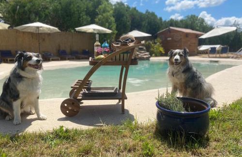 Mallemort House | Le Mas des iscles Mallemort