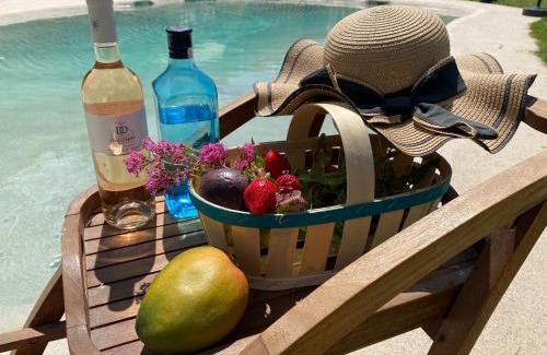 Mallemort House | Le Mas des iscles Mallemort