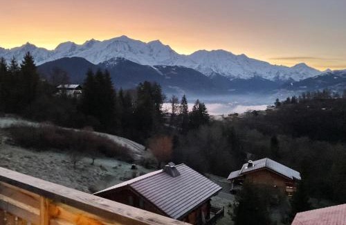 Passy Ski Chalet | Le Mazot de la Marmotte