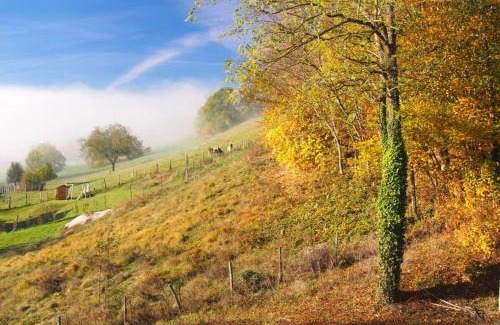 Paladru Apartment | Le Merle Enchanteur