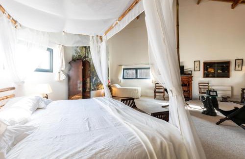 Bazas Bed & Breakfast | Le Palmier Exotique - Bazas