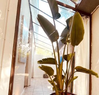 Costieres House | Le patio, jardin privatif, tennis