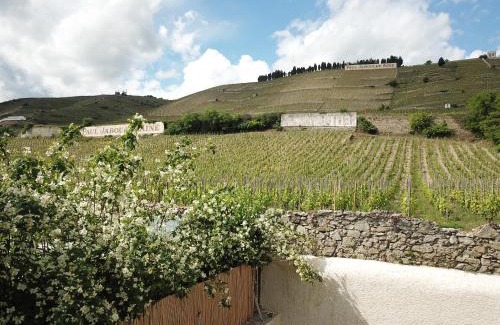 Tain-l'Hermitage House | Le Pavillon de l'Hermitage - Spa ouvert d'Avril à Octobre
