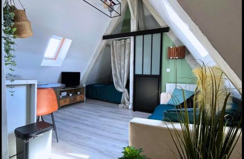 Saint-Quentin Apartment | Le Perchoir "Cozy Appart"