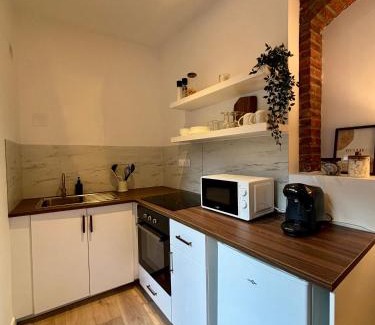 Valenciennes Apartment | Le Petit Hainaut, hyper centre