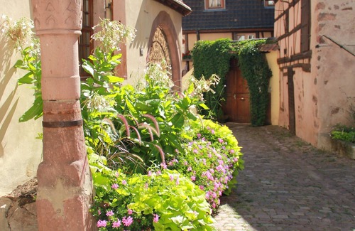 Riquewihr Apartment | LE REPAIRE DES LUTINS Charming Duplex (6 persons) quiet in Riquewihr