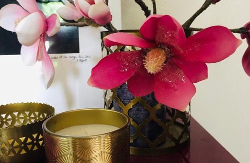 Illkirch-Graffenstaden House | Le Rez de Jardin