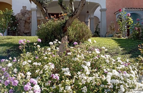S'Iscala House | Le Rose House Holiday home for 3 people. Sardinia, Budoni, Tanaunella