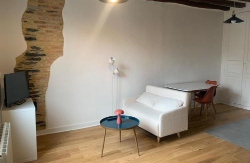 Downtown Angers Apartment | Le Sauge