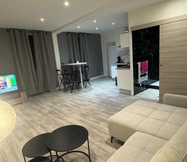 Bourg-en-Bresse Apartment | Le spacieux