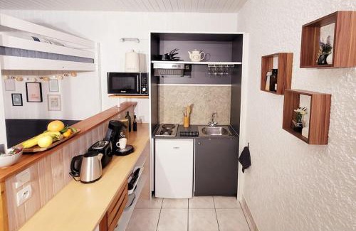 Chasseneuil-du-Poitou Apartment | Le Studio 360 Proche Futuroscope & Arena 1/4 Pers