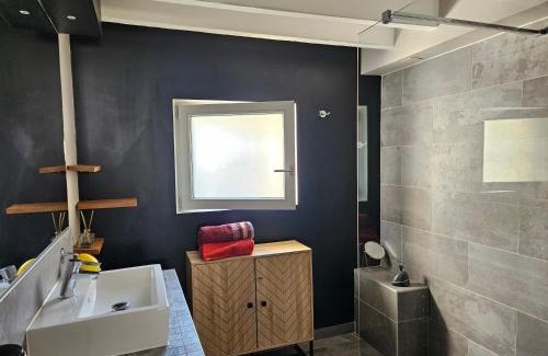 La Ferte-Saint-Aubin House | Le Sully, gîte aux portes de la Sologne