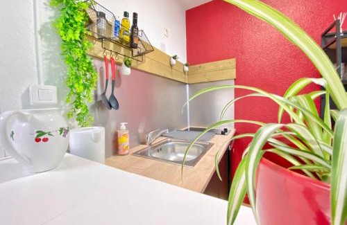 Chasseneuil-du-Poitou Apartment | ~ le Terracotta ~ Studio 1/4 pers/Futuroscope