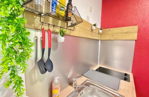 Chasseneuil-du-Poitou Apartment | ~ le Terracotta ~ Studio 1/4 pers/Futuroscope