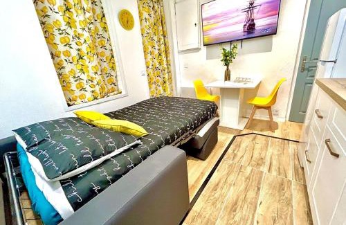 Villeneuve-sur-Yonne Apartment | Le Zeste, centre parking gratuit