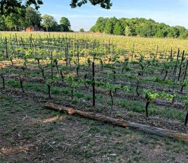 Houwaart House | Lemen huis Houwaart