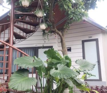 Moc Chau Bed & Breakfast | Leo Home MC
