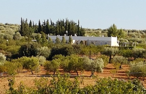 Conversano Villa | 'LERALORA' VILLAS IN THE COUNTRYSIDE WITH POOL AND PATIO GARDEN