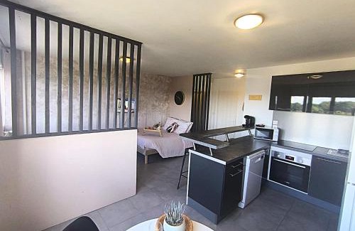 Mons-en-Baroeul Apartment | LeRelaisdOdile - Idéal PRO & Couple - Studio Cosy - Proche Metro - Parking Gratuit - Mons-en-Barœul - - WIFI HD - Smart TV - Entrée Autonome