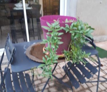 Montchanin House | Les écureuils bourguignons