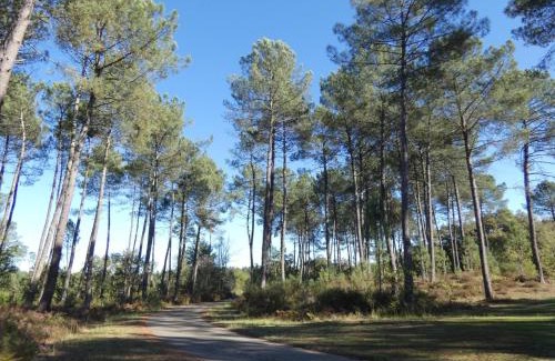 Brocas House | Les ajoncs