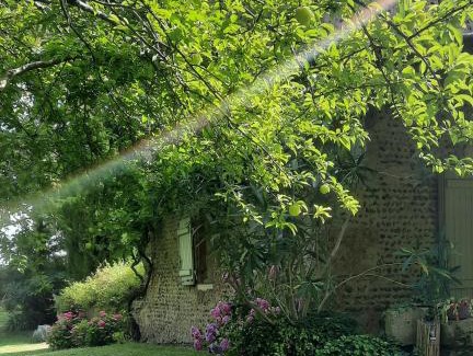 Saint-Maurice-sur-Adour Bed & Breakfast | Les chambres du trouilh