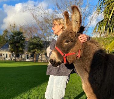 Saint-Gatien-des-Bois House | Les Gites de Claire