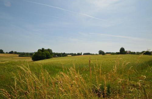 Savignac-Ledrier House | Les Hydrangeas - classé 3 étoiles meuble de tourisme