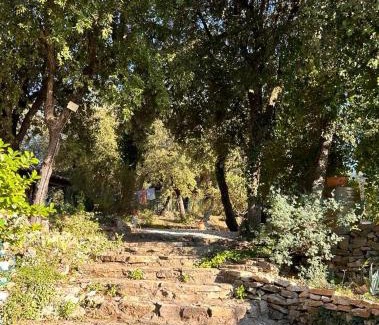 Tourves House | Les jardins d'Isa