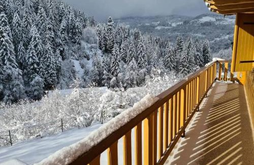 Travexin Ski Chalet | Les Marmottes, 10 à 20p avec bb-foot, billard, bar