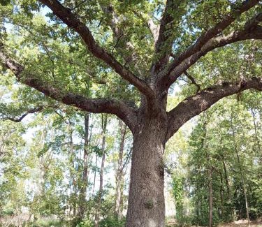 Azille Apartment | Les Murmures du Lac