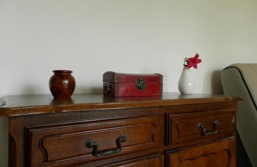 Cimiez Apartment | Les Pins . 2 p calme et terrasse