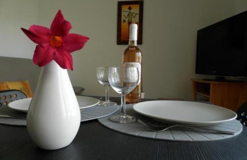 Cimiez Apartment | Les Pins . 2 p calme et terrasse