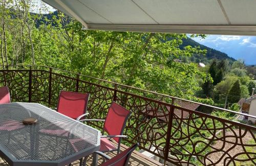 Raon-les-Leau House | Les Terrasses du Donon