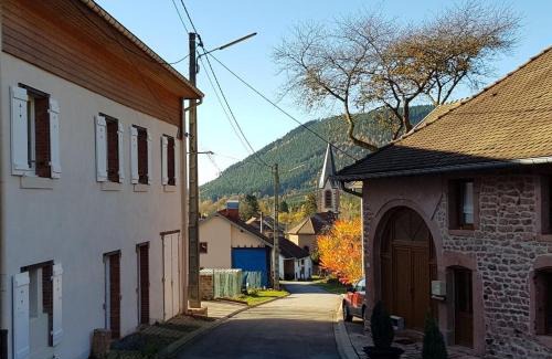 Raon-les-Leau House | Les Terrasses du Donon