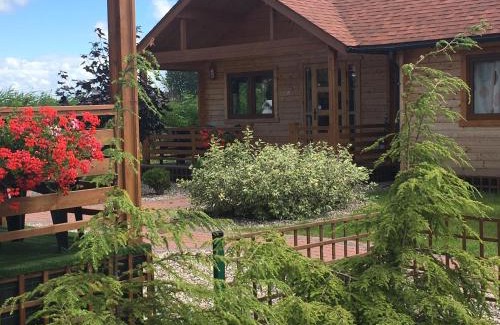 Krynica Morska Cabin | LIDO - domy letniskowe z klimatyzacją