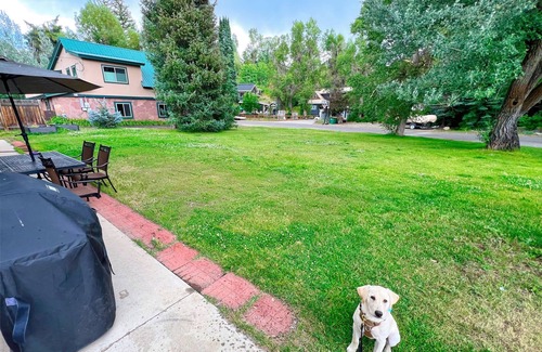 Old Town House | Lief's Adventure Haus - Walk to DT - Pet Friendly