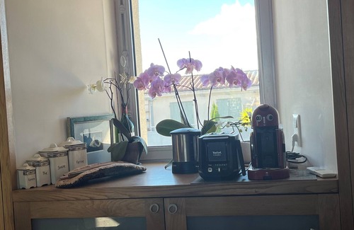 Fontvieille House | Light-filled loft house, former oil mill, dominant view, wooded terraces.