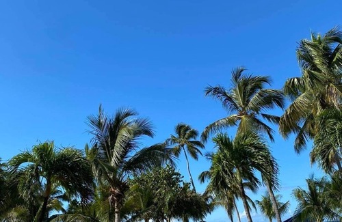 Estate Frenchman Bay Apartment | Limetree Beach and Resort by Wyndham