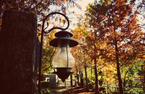 Dongshi District Villa | Lin Qi in my heart Villa