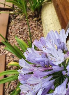 Arroio do Sal House | Linda casa com piscina 50m praia