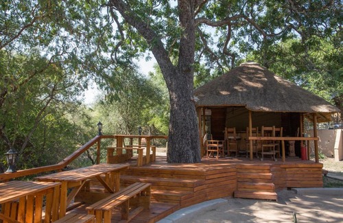 Thorny Bush Game Reserve Cabin | Lion Tree Top Lodge