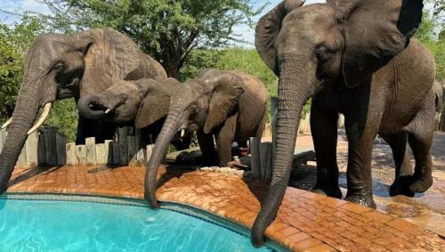 Phalaborwa Hotel | Lions Place