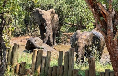 Phalaborwa Hotel | Lions Place