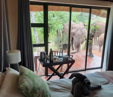 Phalaborwa Hotel | Lions Place