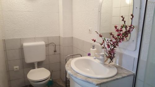 Heviz Apartment | Lisa Vendégház