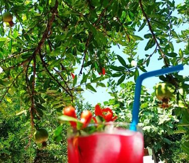 Kumluca Hotel | Litost Cafe